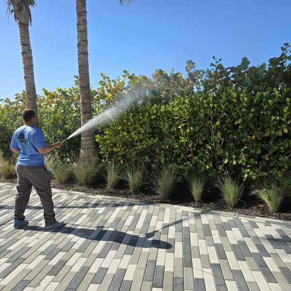 1 John Ringling Way Property Management Quarterly House Wash (7)