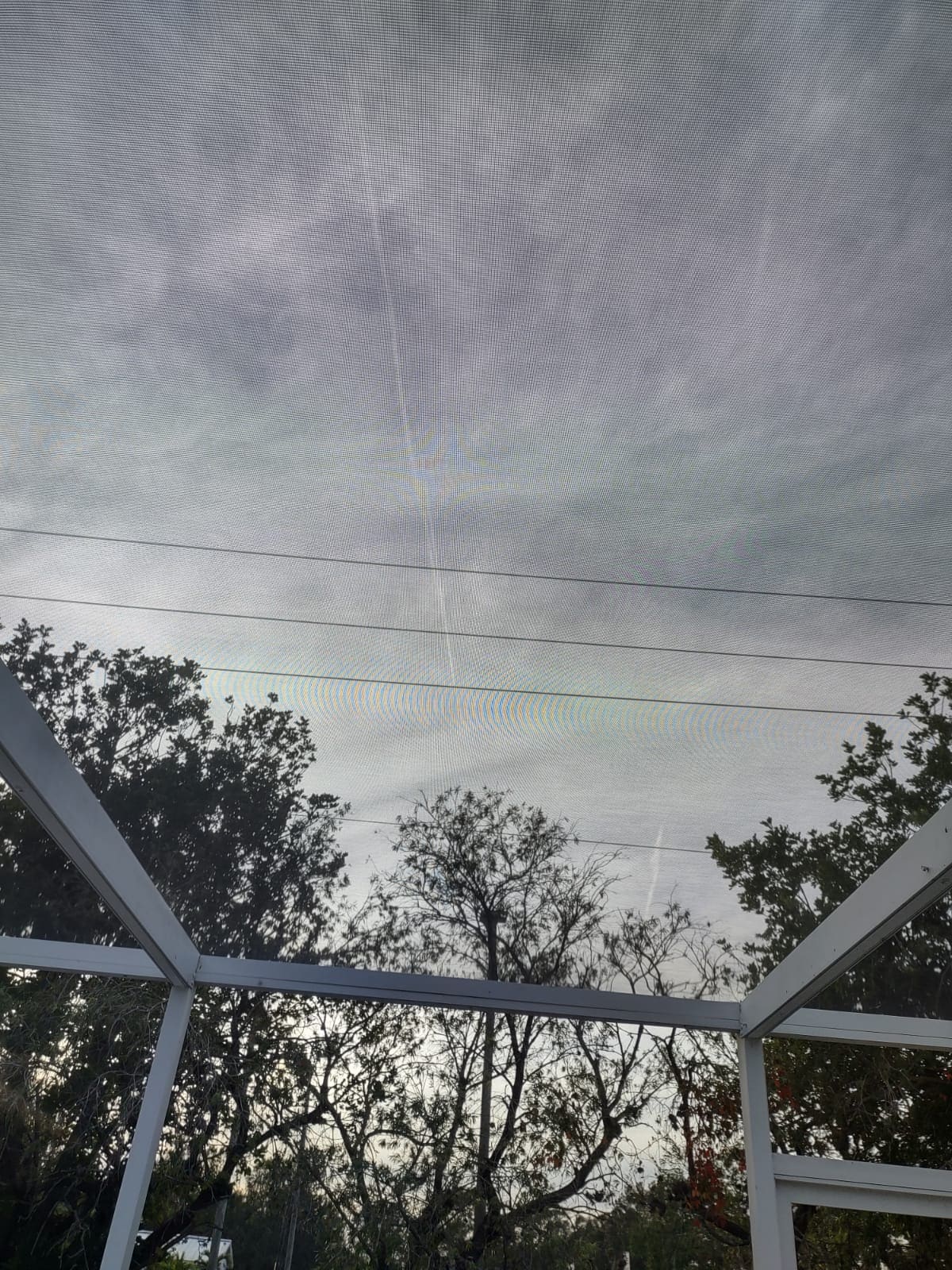 Photo Jan 02 2025, 5 04 21 PM (2)