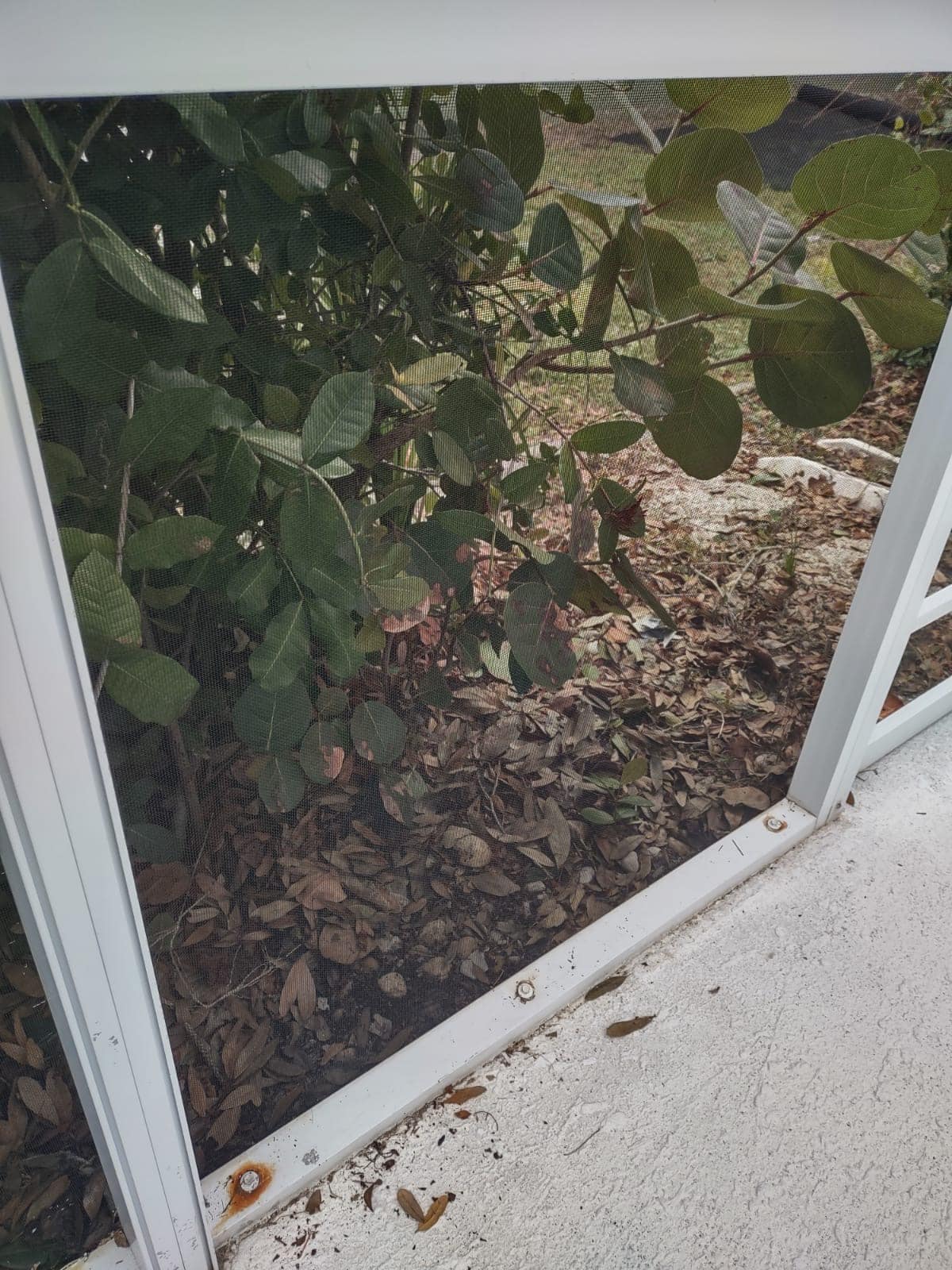 Photo Jan 07 2025, 9 50 57 AM (1)