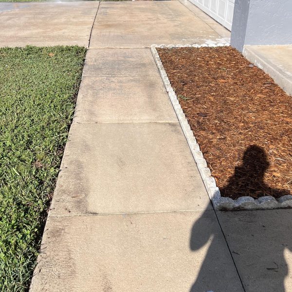 Real Estate Store Jarvis Road Pressure Wash (12)