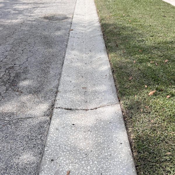 Real Estate Store Jarvis Road Pressure Wash (14)