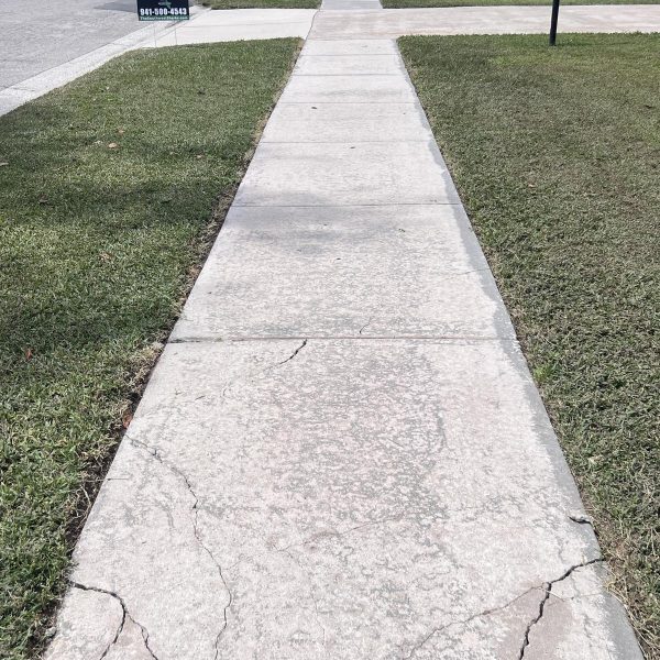 Real Estate Store Jarvis Road Pressure Wash (15)