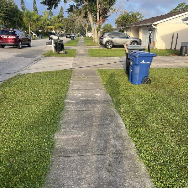 Real Estate Store Jarvis Road Pressure Wash (2)