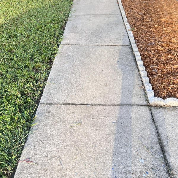 Real Estate Store Jarvis Road Pressure Wash (7)