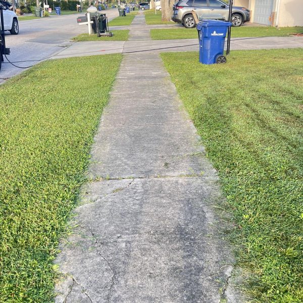 Real Estate Store Jarvis Road Pressure Wash (8)