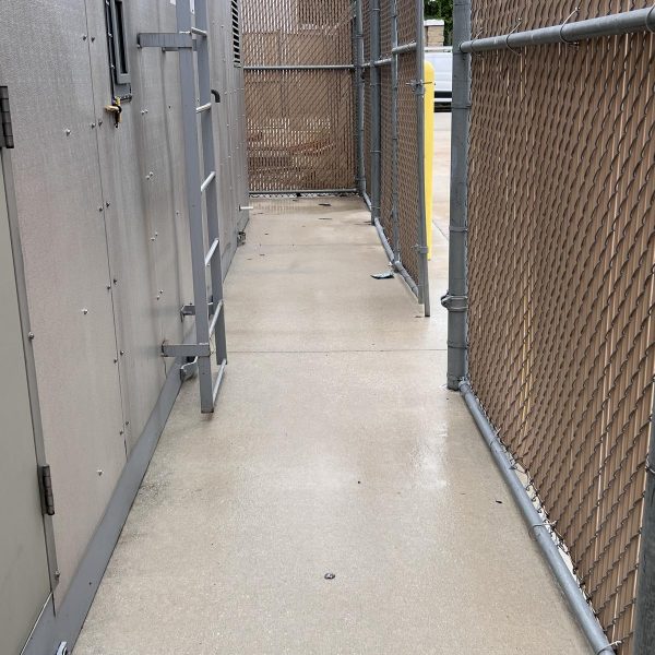 pressure washing for everyone Walmart Sams Club Parking Lot (11)