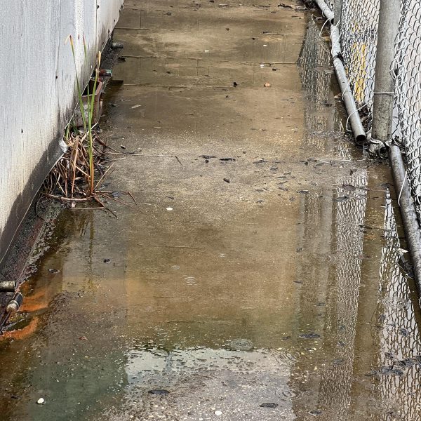 Walmart Sams Club Parking Lot (8)