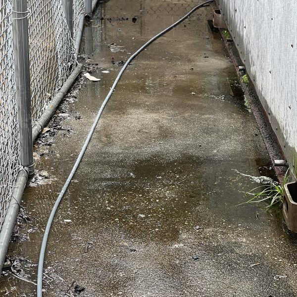 Walmart Sams Club Parking Lot (9)